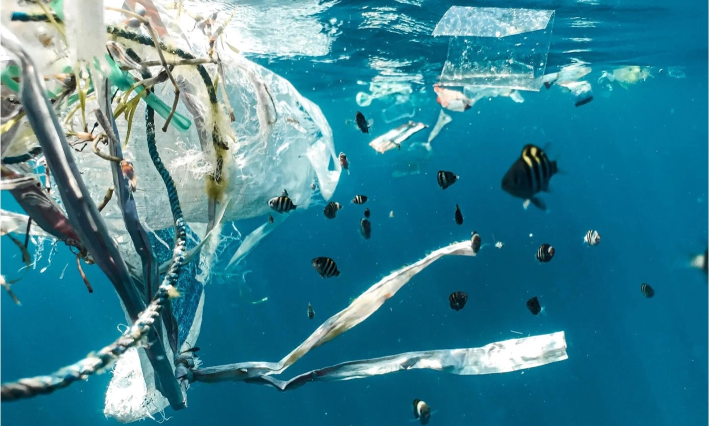 In unseren Ozeanen ist genug Plastik - Lasst uns endlich etwas verändern!