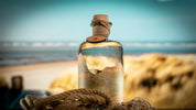 Navis Gin - NORDSEE