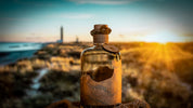 Navis Gin - OSTSEE